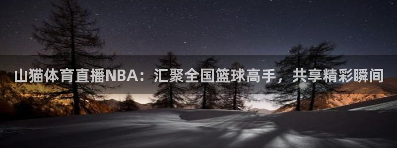 泡泡体育nba直播