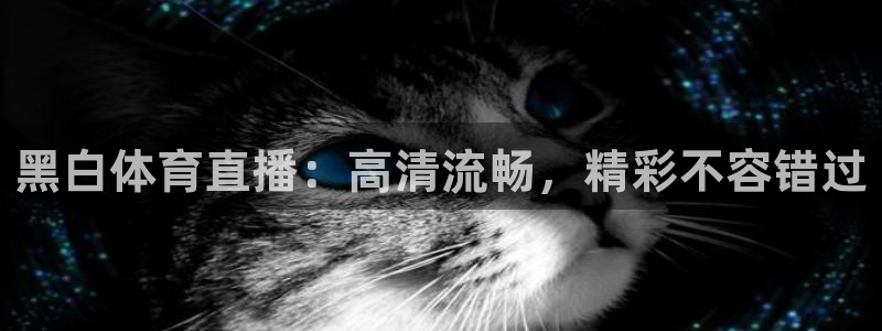 泡泡体育直播