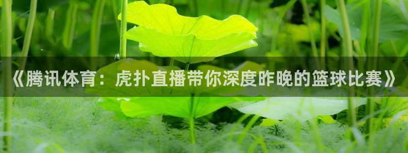 nba在线直播泡泡体育