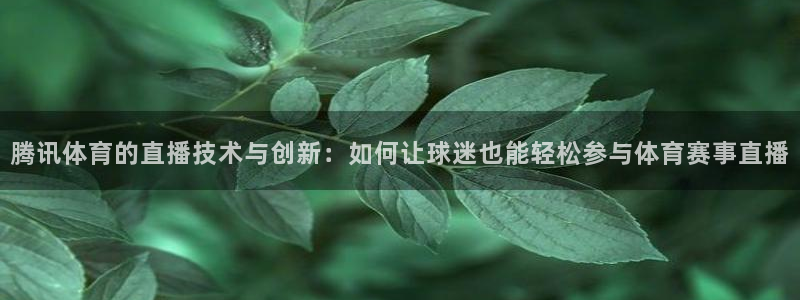 nba在线直播泡泡体育