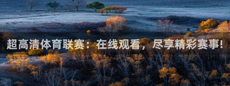 nba在线直播泡泡体育