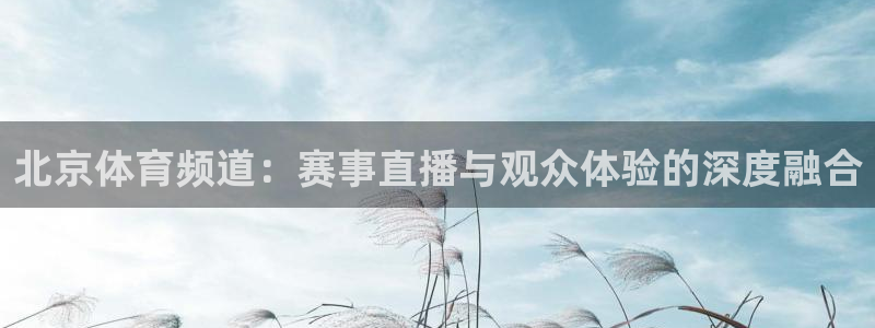 泡泡体育在线直播
