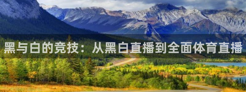 泡泡体育直播官网