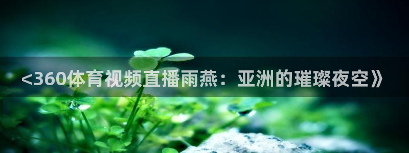 泡泡体育直播