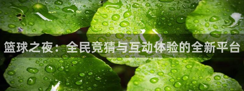 nba在线直播泡泡体育