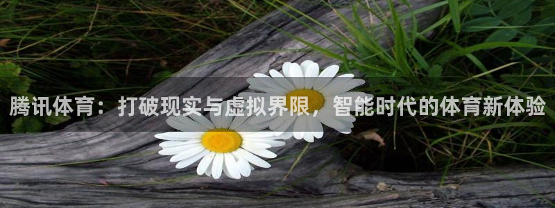 泡泡体育nba免费直播