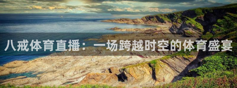 泡泡体育nba直播