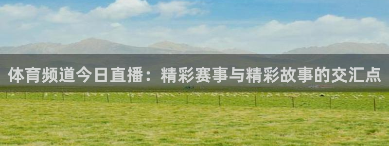 泡泡体育直播网