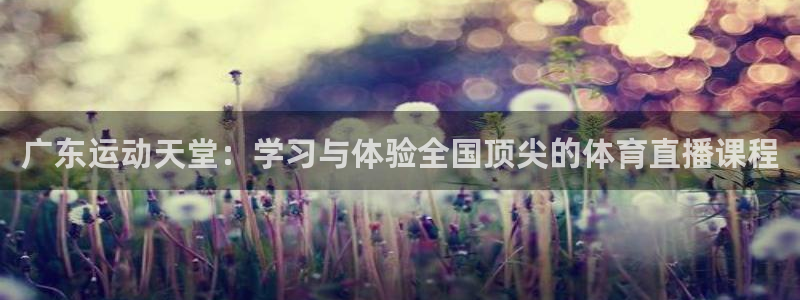 泡泡体育nba直播