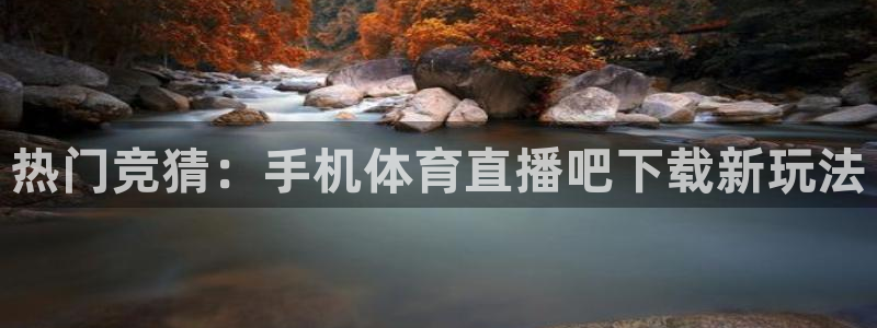 泡泡体育直播网