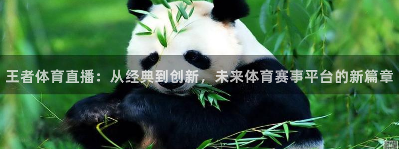 泡泡体育nba直播观看：王者体育直播：从经典到创新，未来体育赛事平台的新篇章