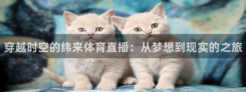 nba直播在线观看免费泡泡体育