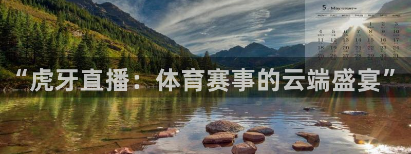 泡泡体育nba